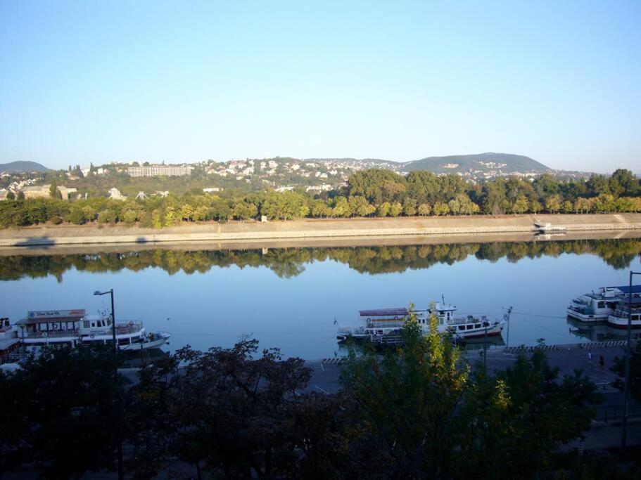 Unique View On Danube, Margaret Island, Buda Hills