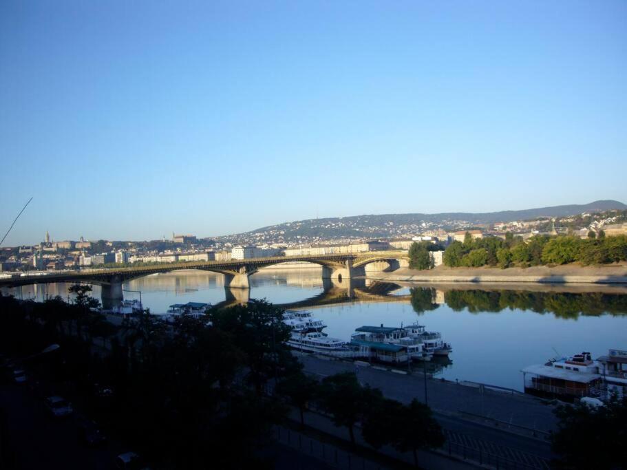 Unique View On Danube, Margaret Island, Buda Hills Apartment *
