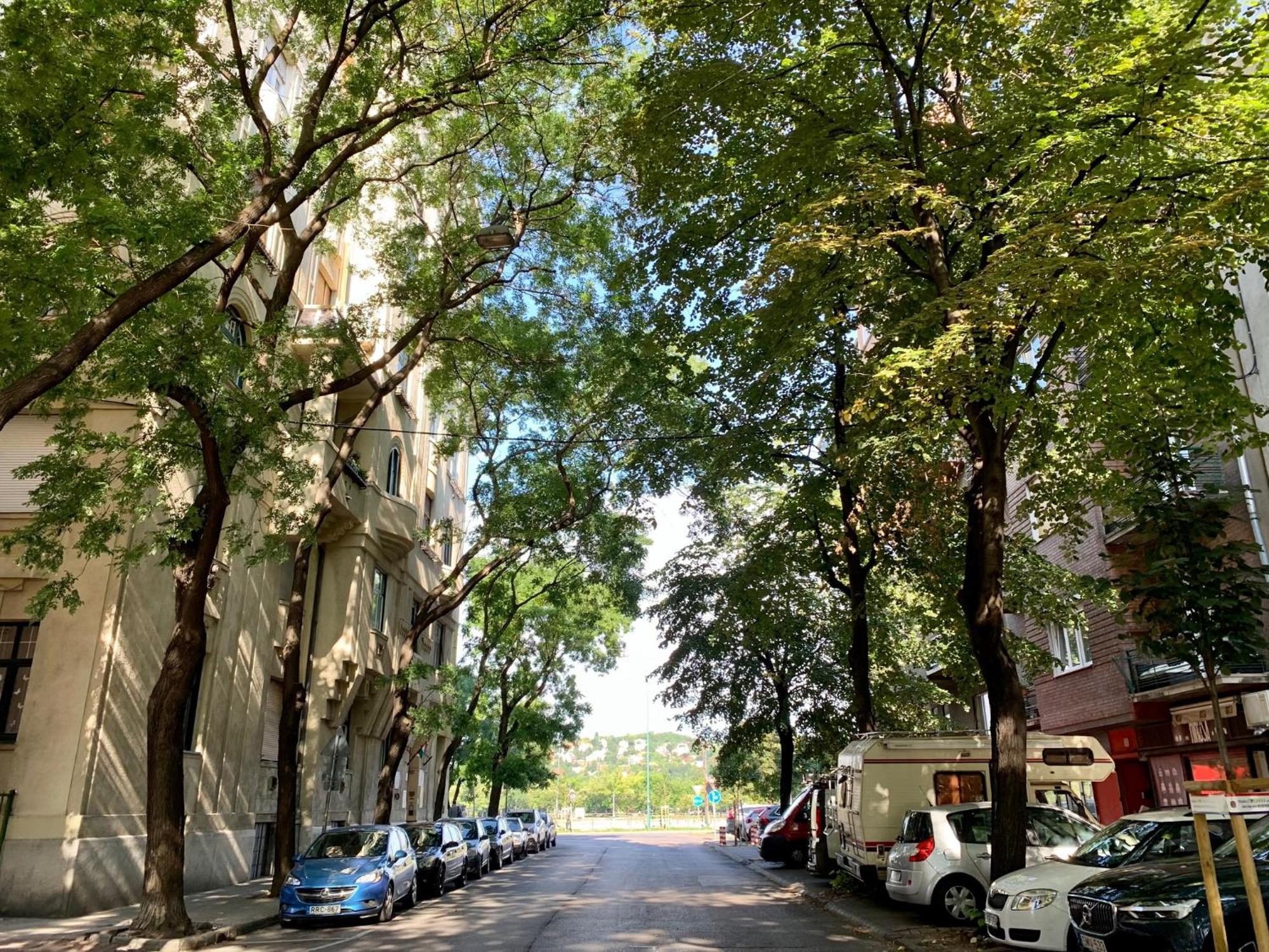 Unique View On Danube, Margaret Island, Buda Hills